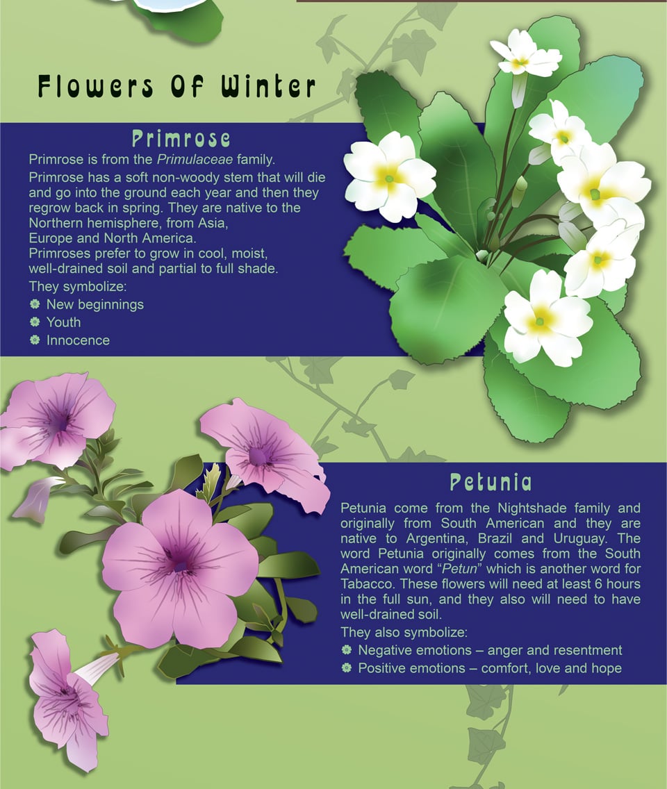 Portfolio_FI3