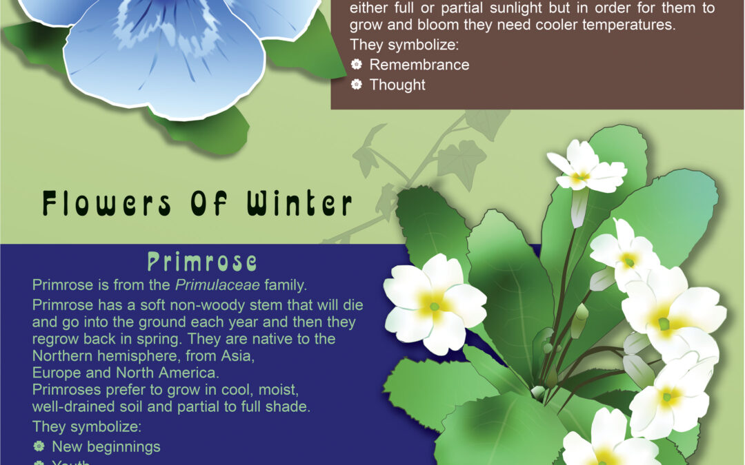 Flowers of The 4 Seasons